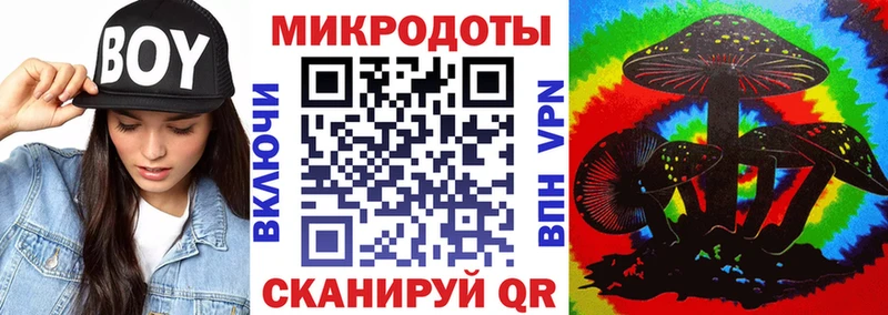 магазин    Камешково  Галлюциногенные грибы прущие грибы 
